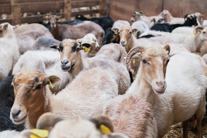 L’étoile de la bergère, Ferme Bio à Montferrer