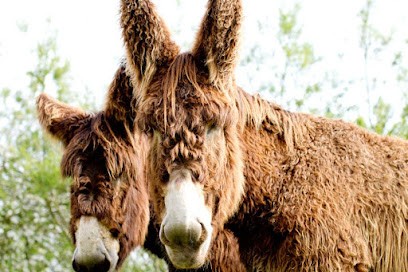Azalane, Ferme Bio à Saint-M'Hervé