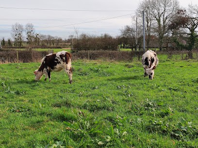Ferme Du Chastel-Fromage Fermier Bio (Vache Et Chèvre), Ferme Bio à Terre-et-Marais