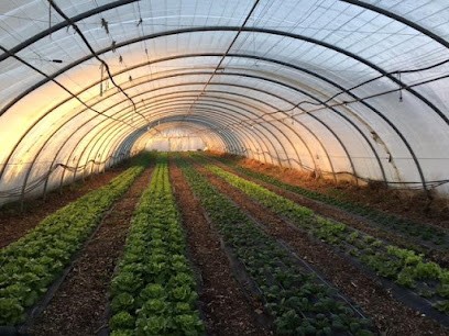 Le rugissement du lapin, Ferme Bio à Marseille 14