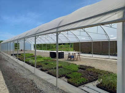 Herbaline, Ferme Bio à Nivillac