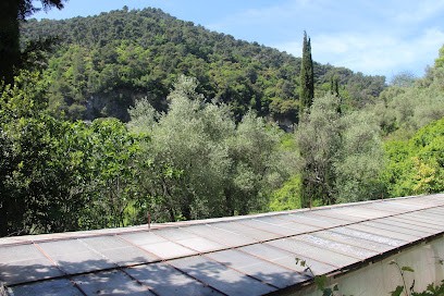 Spiruline Bio Française Azur Naturel Grasse, Ferme Bio à Grasse