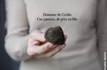 DOMAINE DE CORDIS, Ferme Bio à Grignan