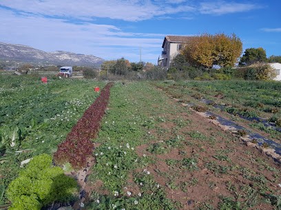 Ferme du Tourtaret, Ferme Bio à La Destrousse