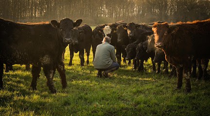La ferme de la voie verte, Ferme Bio à Saint-Mars-du-Désert