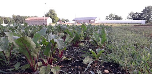 Les Jardins De L'Osme, Ferme Bio à Paizay-Naudouin-Embourie