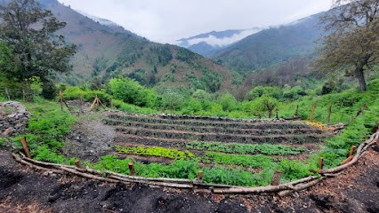 L'Ortu Muntagnolu - Maraîchage Permaculture, Ferme Bio à San-Giovanni-di-Moriani
