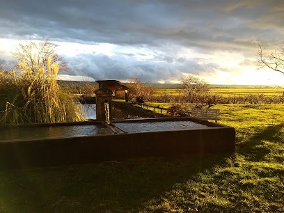 Ferme de Marsias, Ferme Bio à Arzay