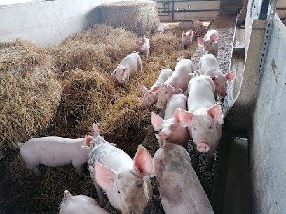 La Ferme Du Petit Rocher, Ferme Bio à Ligné