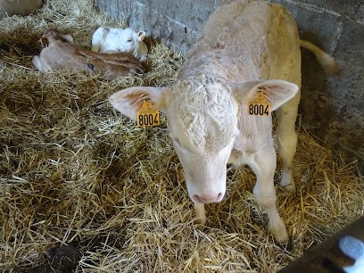 Ferme Bio Castel, Ferme Bio à Louvil