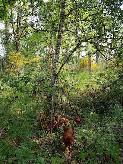 La ferme de la grignette, Ferme Bio à Ternand
