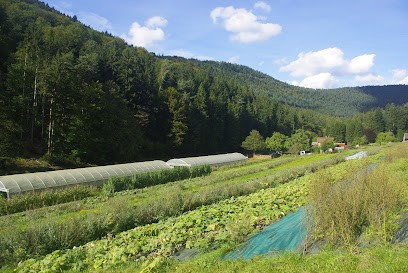 Ferme Maraîchère du Windstein, Ferme Bio à Windstein