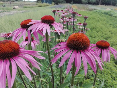 Le Jardin Des Simples, Ferme Bio à Vançais