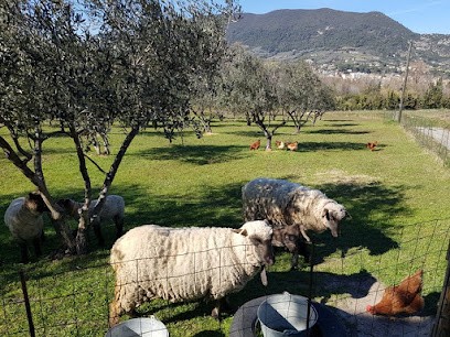 Domaine des Hortz, Ferme Bio à Nyons