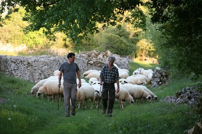 Latapoune, Ferme Bio à Livernon