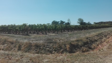 Le Mazet, Ferme Bio à Arpaillargues-et-Aureillac