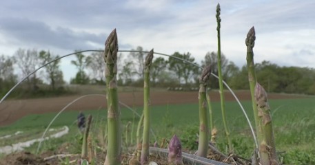 Arnaud et Laurence Dubois, Ferme Bio à Forcalquier