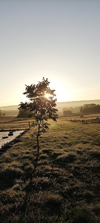 Les maraichers de Collonge, Ferme Bio à Collonge-en-Charollais