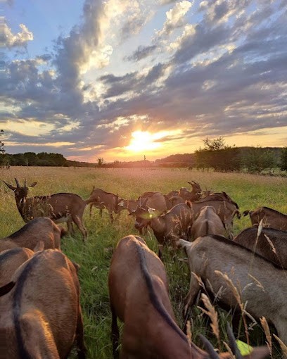 Chèvrerie Des Huppes, Ferme Bio à Cherreau