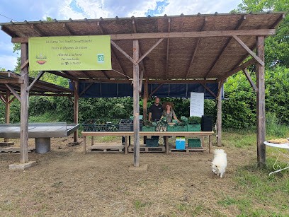 La Ferme des Semis Croustillants, Ferme Bio à Saint-Martin