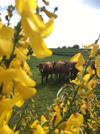 GAEC Du Moulin - Vente Directe De Viande Biologique, Ferme Bio à Espeyrac