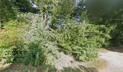 Le Favet, Ferme Bio à Lannéanou