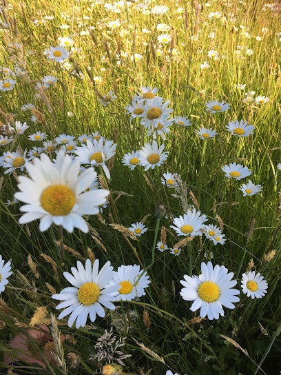 Ferme De La Pich, Ferme Bio à Lieuron