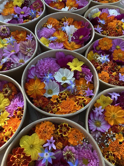 L'Ortu Tesoru - Le Jardin Trésor, Ferme Bio à Sollacaro