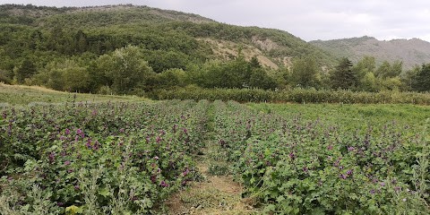 Ferme de Prémiens, Ferme Bio à Lardier-et-Valença