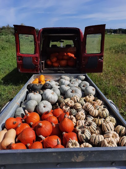 La Bioferme De Chanteloup, Ferme Bio à Chanteloup-en-Brie