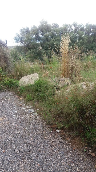 Garnerone Lucien, Ferme Bio à Marseille 14