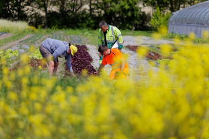 ALD- Maraicher Flamand LEGUMES BIO Magasin Chalet- Label AB, Ferme Bio à Téteghem-Coudekerque-Village