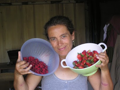 The little house on the hill, Ferme Bio à Teyssieu