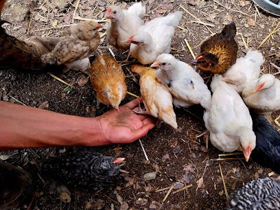 Ferme de La Riolais, Ferme Bio à Langon