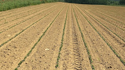 EARL COLOMBIER LA COTE Thierry Colombier, Ferme Bio à Simandres