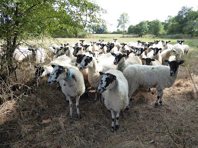 LE VIEUX HANGAR, Ferme Bio au Pellerin
