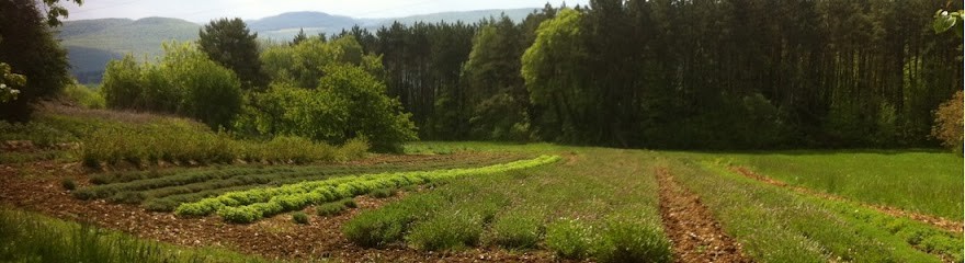 Baum'Plantes, Ferme Bio à Baulme-la-Roche