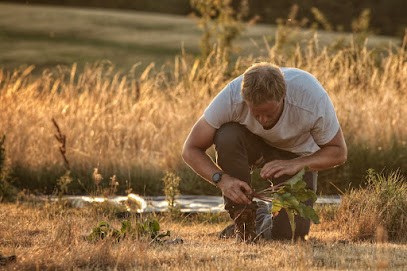 La Ferme de La Courette, Ferme Bio à Chaumussay