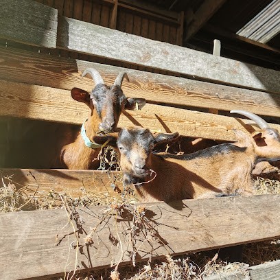 GAEC du Trénéhué, Ferme Bio à Treffléan