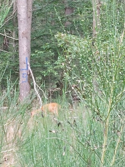 Les Jardins De Saint Fargeau, Ferme Bio à Saint-Fargeau-Ponthierry