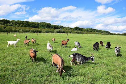 La Ferme du P'tit Ban-Houé - Chèvrerie, Maraîchage, Epicerie Locale, Ferme Bio à Chaillon