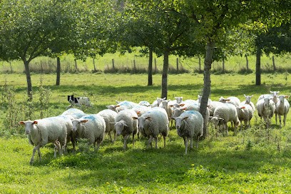 GAEC de La Ferme, Ferme Bio à Brunelles