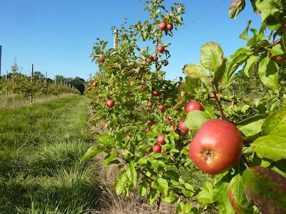Verger Croc Fruits, Ferme Bio à Saint-Lormel