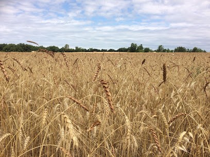 La Ferme De Vanessa - Vanessa Vialettes, Ferme Bio à Virac