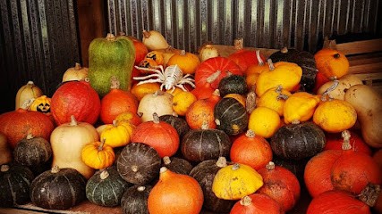 Le Paradis des Légumes, Ferme Bio à Quéven