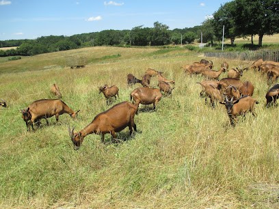 Chèvrerie Bauduron, Ferme Bio à Montambert