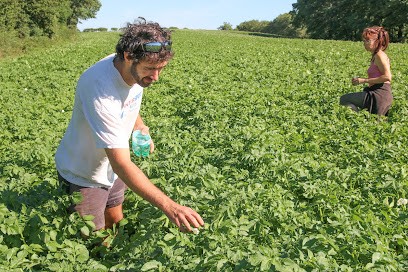 Gaec de Montredon, Ferme Bio à Arvieu