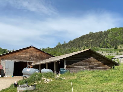 EARL FERME DE CHAMP FLEURI, Ferme Bio à Sinard