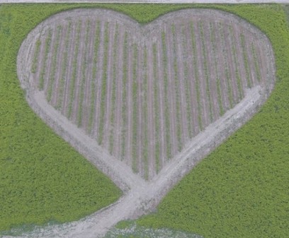 Ferme T'air de famille, Ferme Bio à Loriol-sur-Drôme