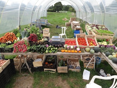 GAEC Le Champ des Cigognes, Ferme Bio à Mézidon Vallée d'Auge